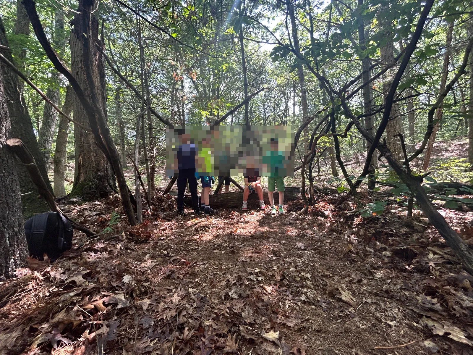 Summer camp: the stick fort going up in the woods